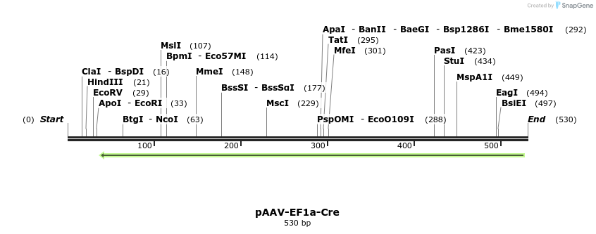 92177_map