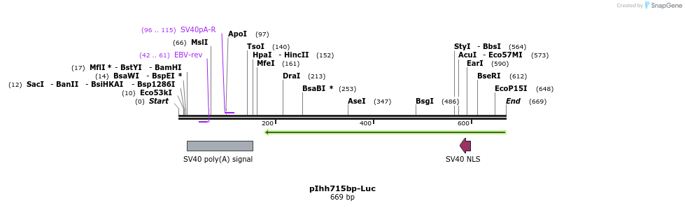 92179_map