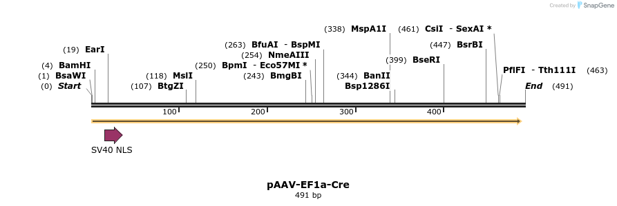 92180_map