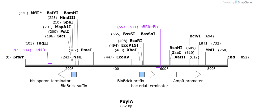92181_map