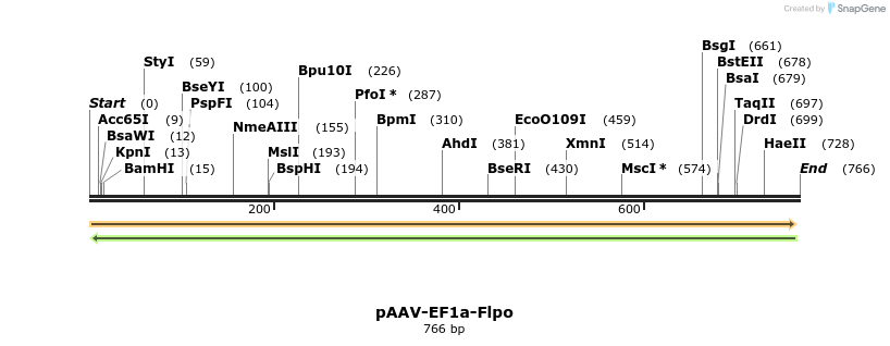 92183_map