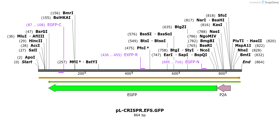 92184_map