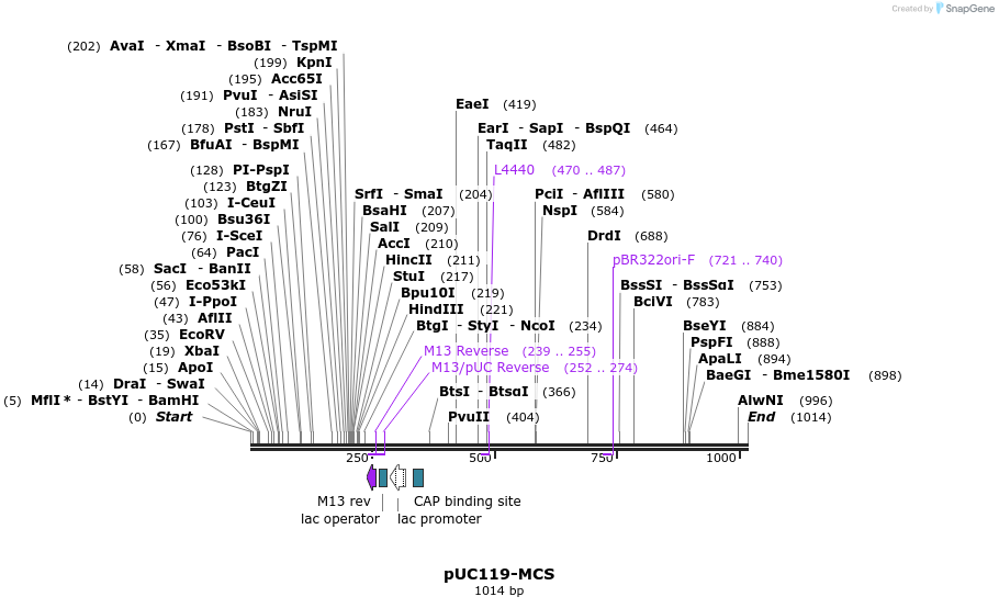 92189_map