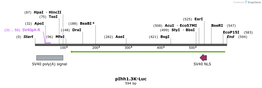92193_map