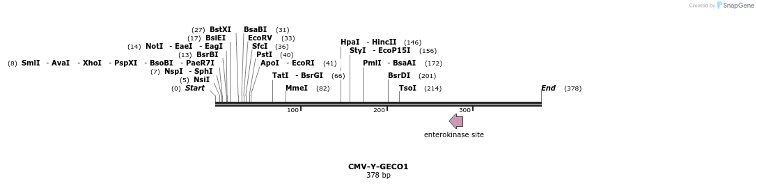 92196_map