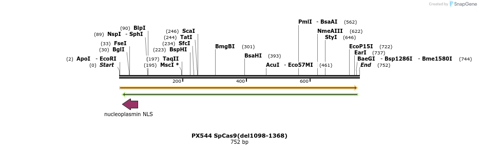 92198_map