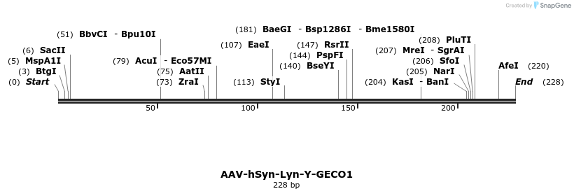 92201_map