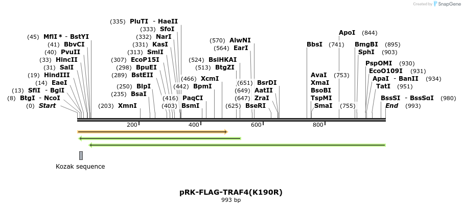 92203_map