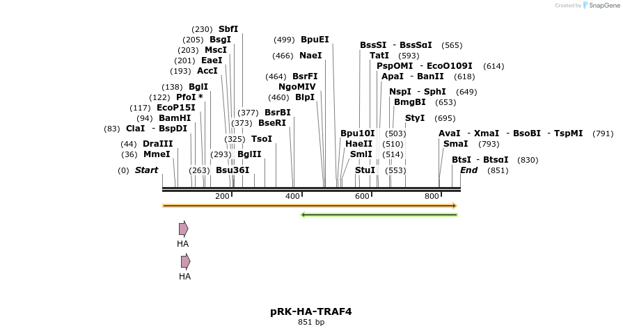 92205_map