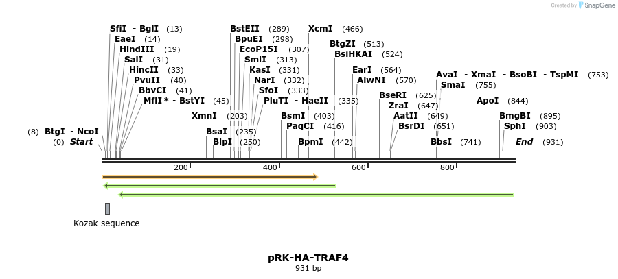 92206_map