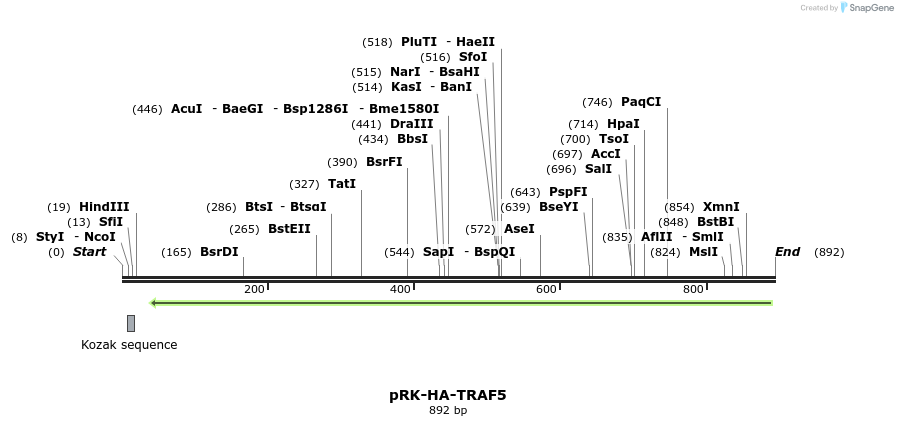 92207_map