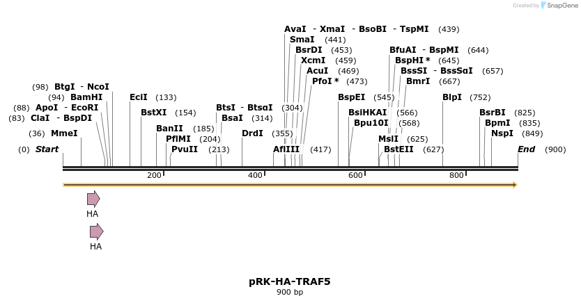 92208_map