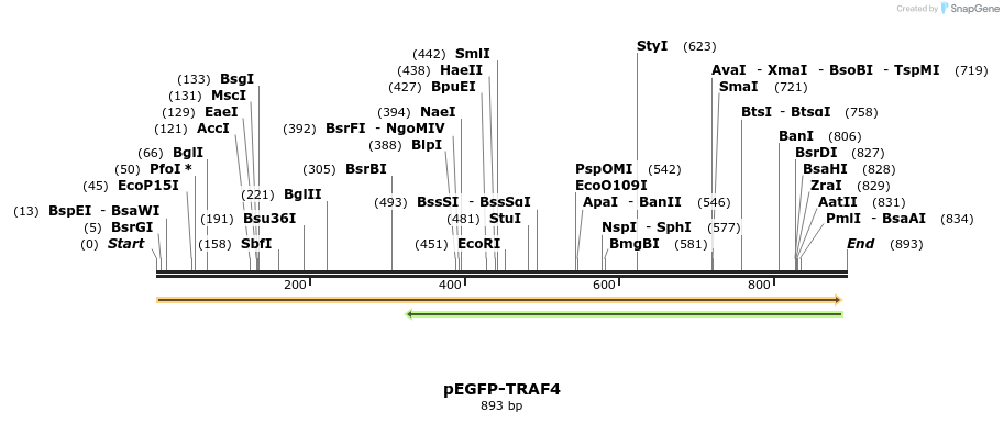 92209_map