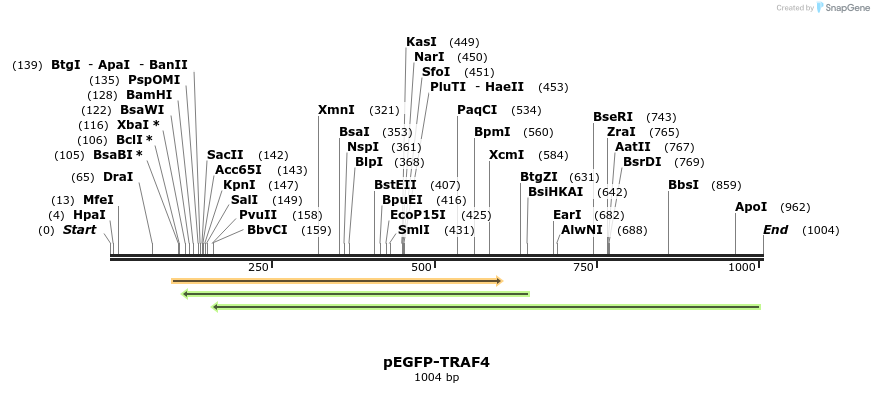 92210_map