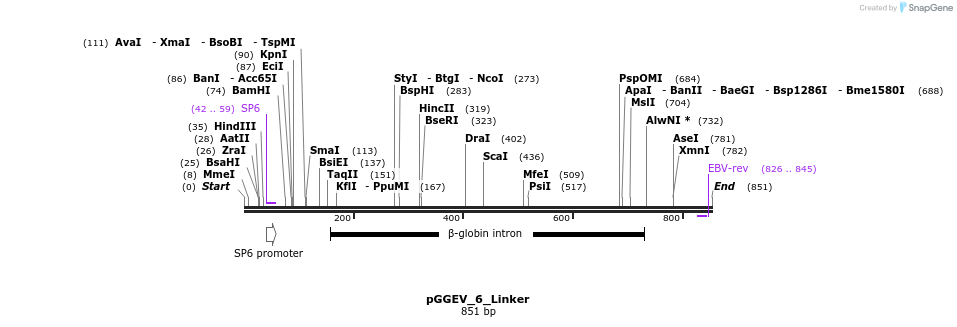 92211_map