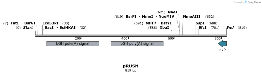 92217_map