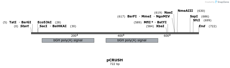 92218_map