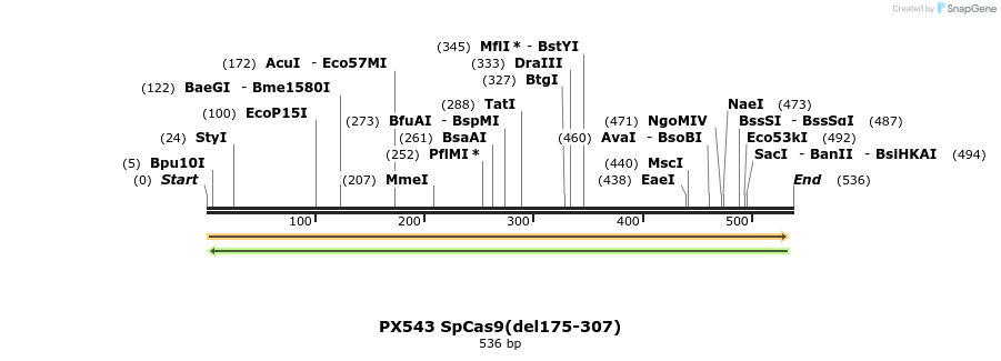 92222_map