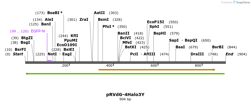 92229_map