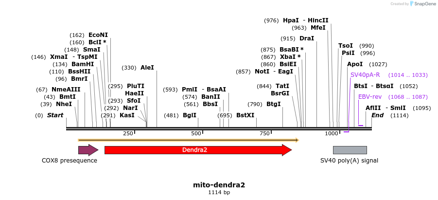 92235_map