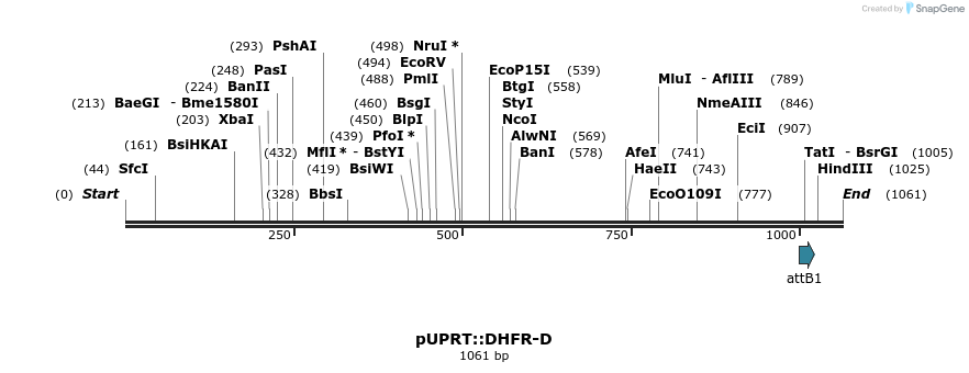 92242_map