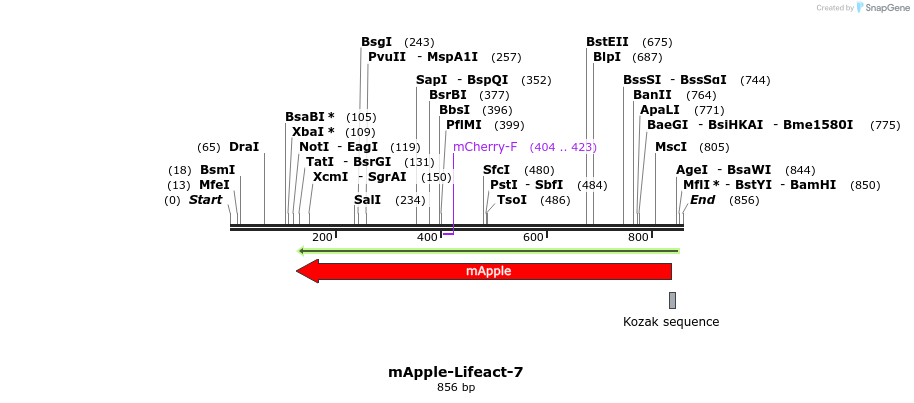 92248_map
