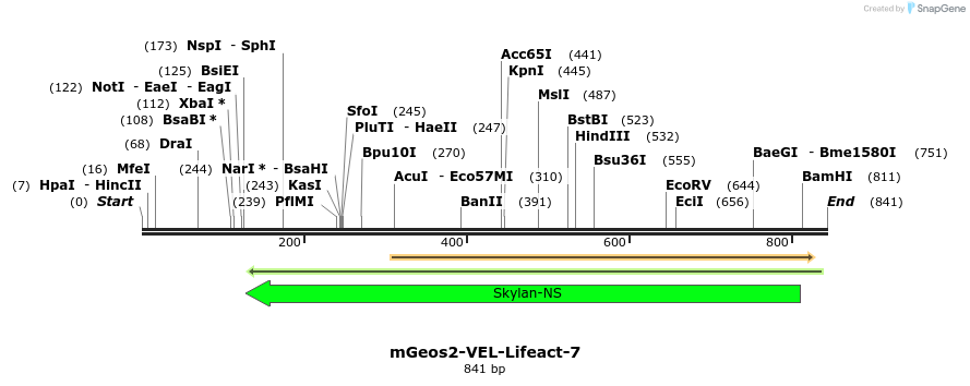 92250_map