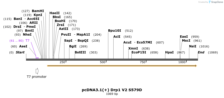 92275_map