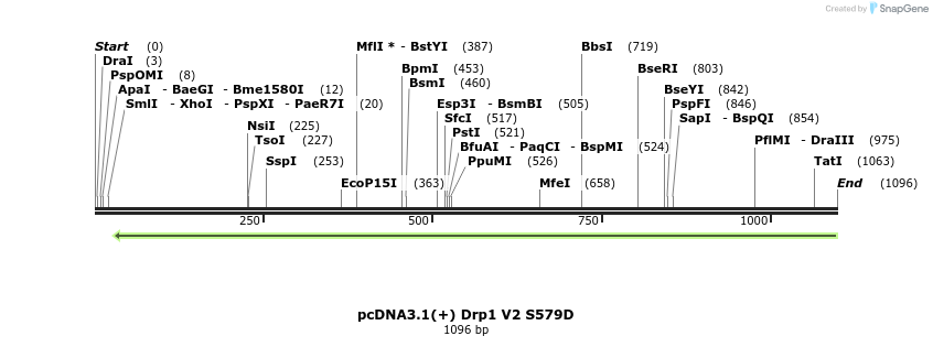 92279_map