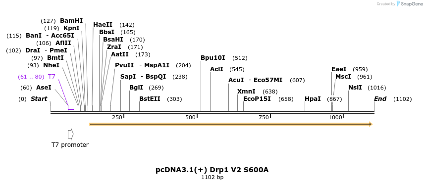 92284_map