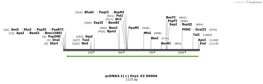 92286_map