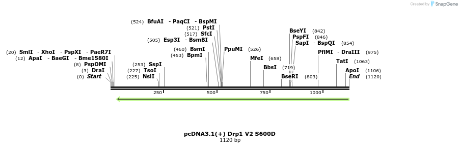 92289_map