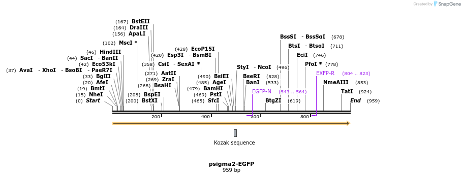 92293_map