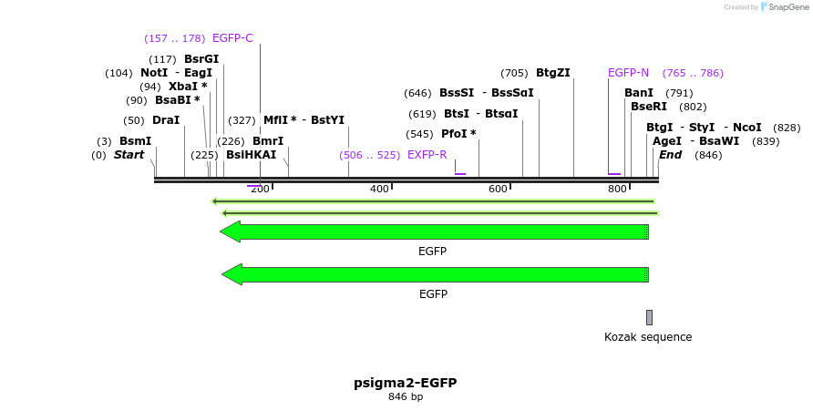 92295_map