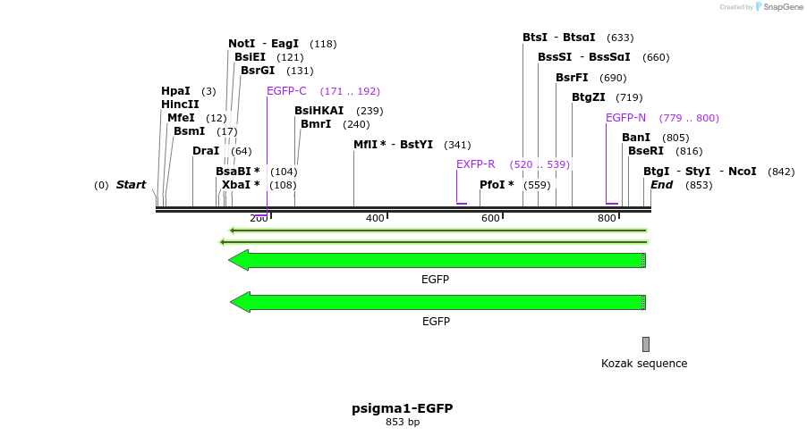 92301_map