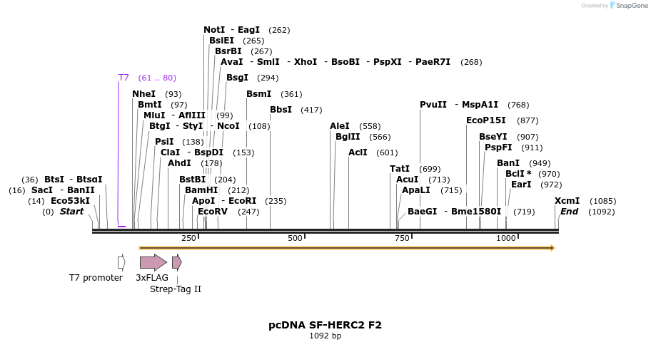 92321_map