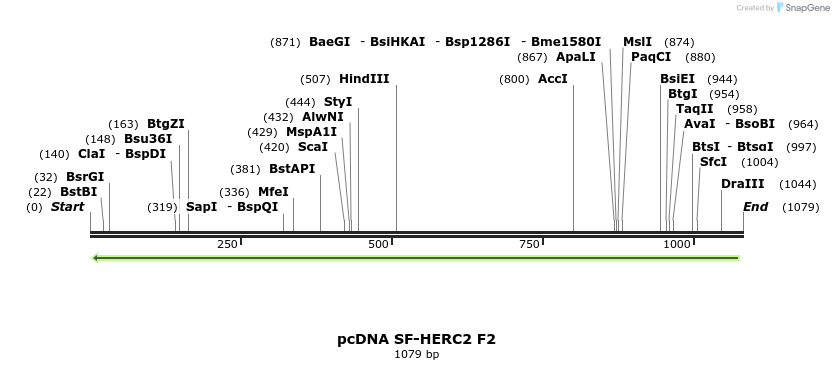 92323_map