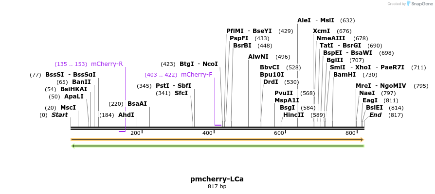92333_map