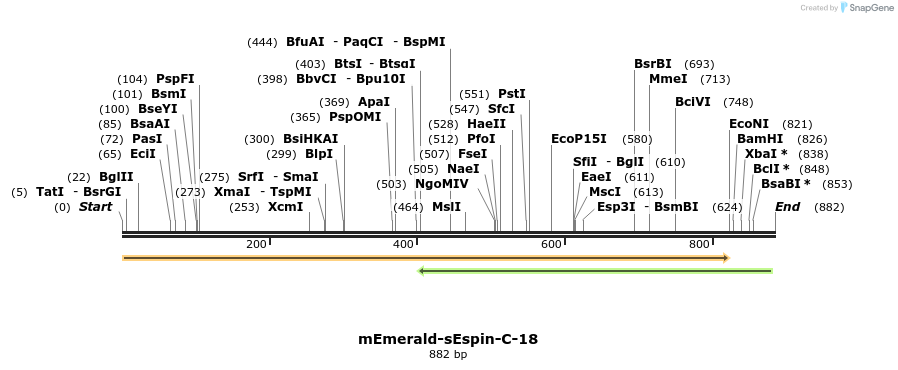 92353_map
