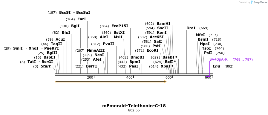 92355_map
