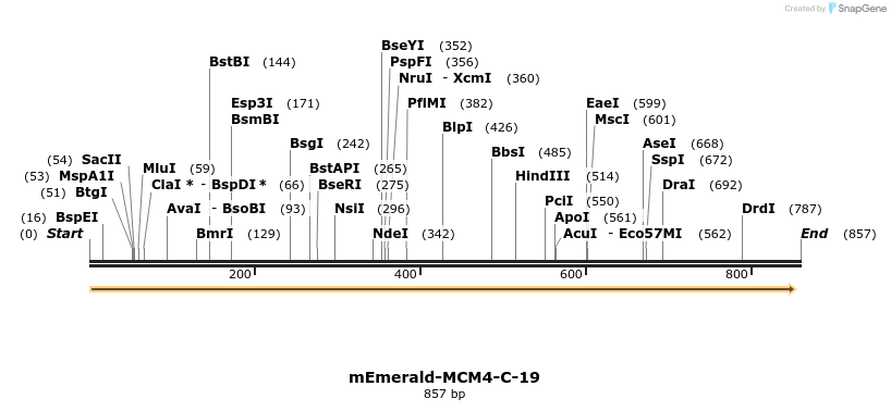 92356_map