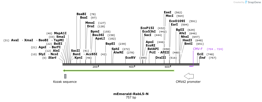 92357_map