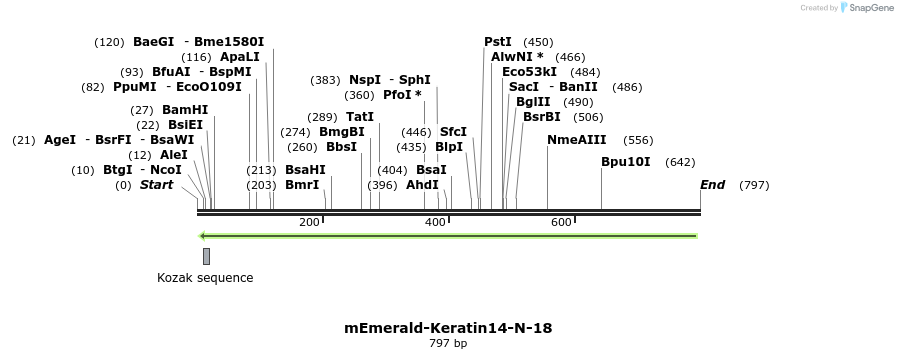 92359_map