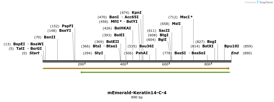 92360_map