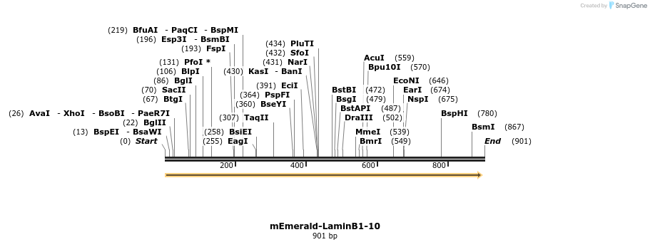 92372_map
