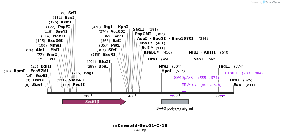 92379_map