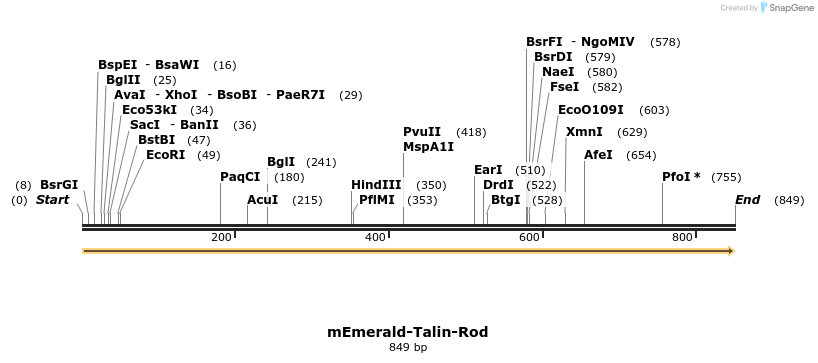 92383_map