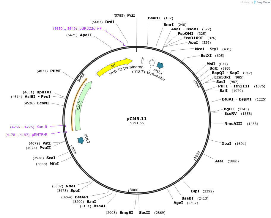 9239_map