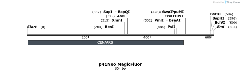 92395_map