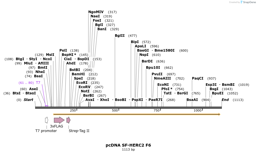 92400_map